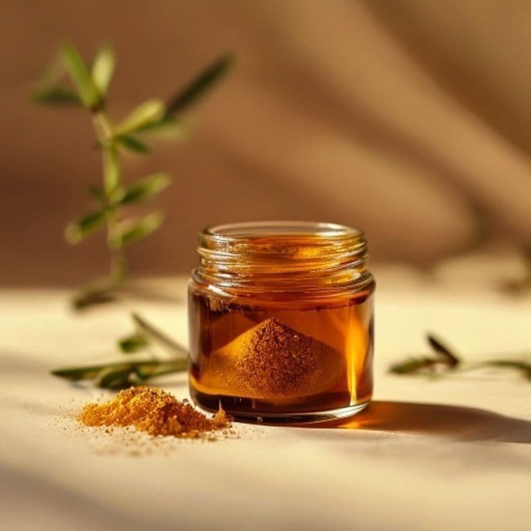 Amla Extract 20%-40%